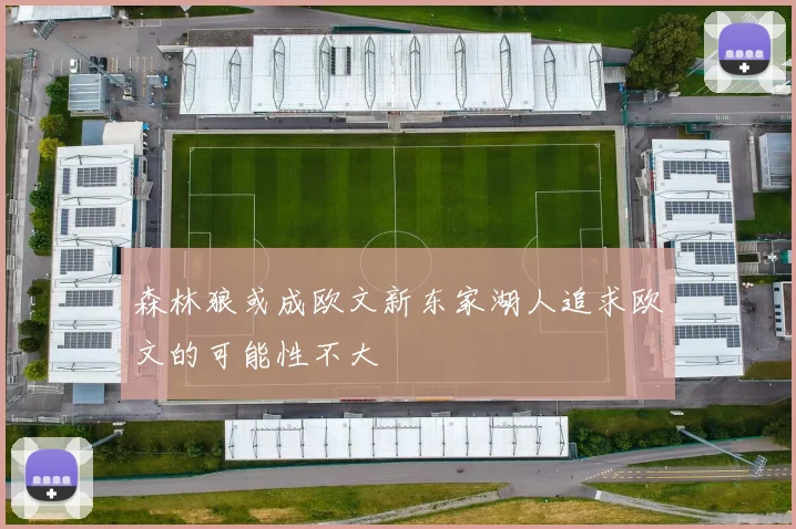 森林狼或成欧文新东家湖人追求欧文的可能性不大
